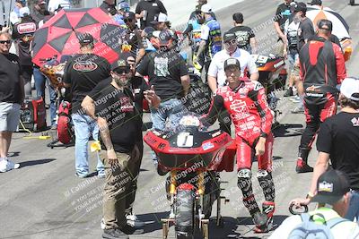 media/Apr-26-2025-BRL Bagger Racing League (Sat) [[9e270f465f]]/9-Bagger GP and Pro Stock Race/